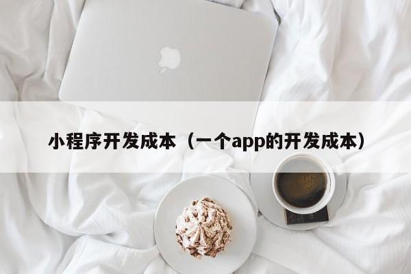 小程序開(kāi)發(fā)成本(一個(gè)app的開(kāi)發(fā)成本)