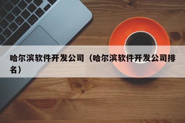 哈爾濱軟件開發(fā)公司(哈爾濱軟件開發(fā)公司排名)