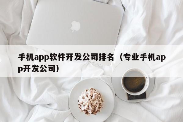 手機app軟件開發(fā)公司排名(專業(yè)手機app開發(fā)公司)