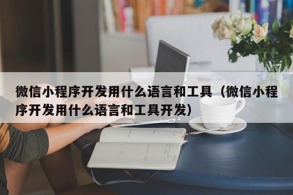 微信小程序開發(fā)用什么語言和工具(微信小程序開發(fā)用什么語言和工具開發(fā))