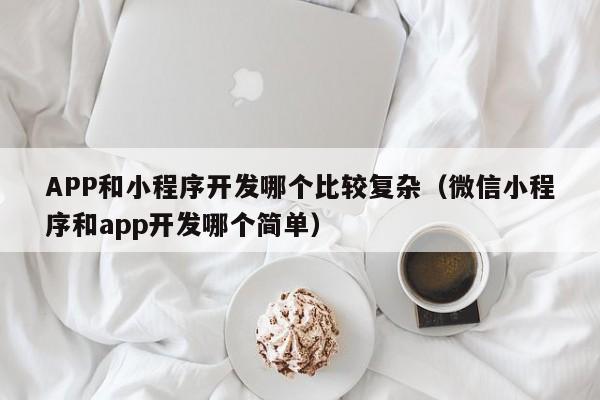 APP和小程序開(kāi)發(fā)哪個(gè)比較復(fù)雜(微信小程序和app開(kāi)發(fā)哪個(gè)簡(jiǎn)單)