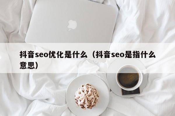 抖音seo優(yōu)化是什么(抖音seo是指什么意思)