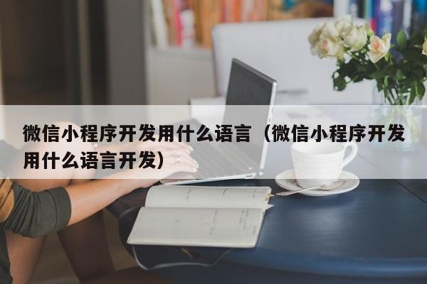 微信小程序開發(fā)用什么語言(微信小程序開發(fā)用什么語言開發(fā))