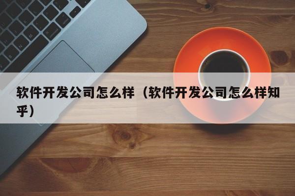 軟件開發(fā)公司怎么樣(軟件開發(fā)公司怎么樣知乎)