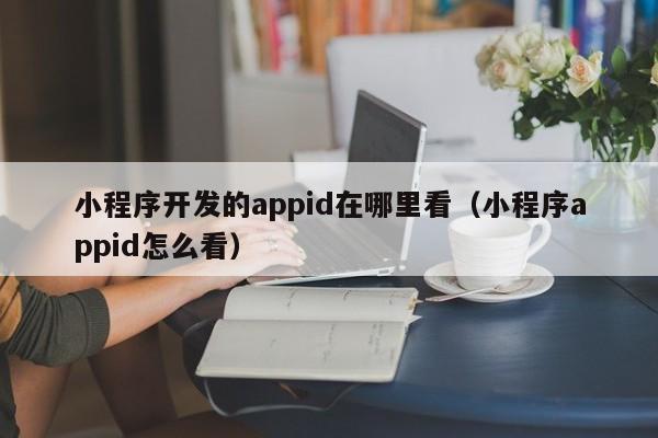 小程序開發(fā)的appid在哪里看(小程序appid怎么看)