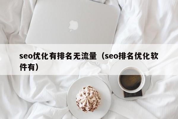 seo優(yōu)化有排名無流量(seo排名優(yōu)化軟件有)