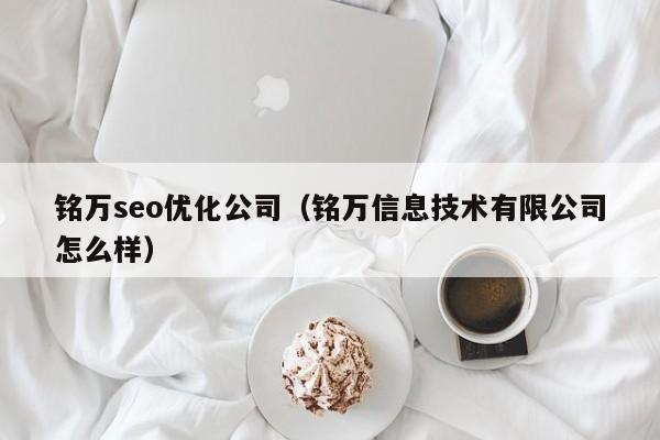 銘萬seo優(yōu)化公司(銘萬信息技術(shù)有限公司怎么樣)