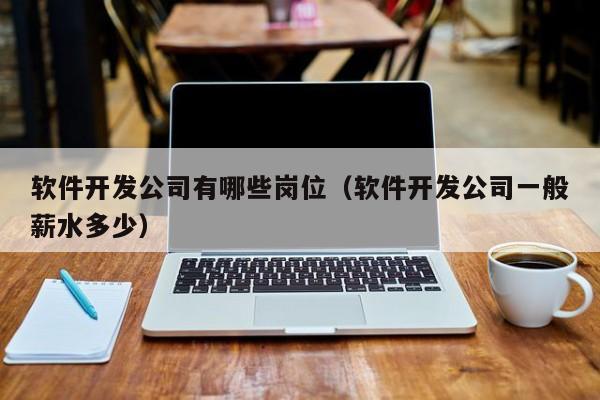 軟件開發(fā)公司有哪些崗位(軟件開發(fā)公司一般薪水多少)