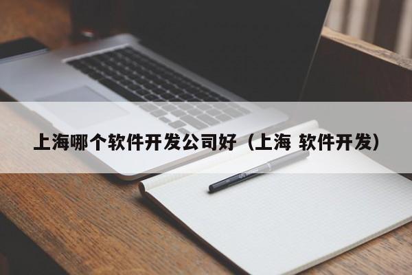 上海哪個(gè)軟件開發(fā)公司好(上海 軟件開發(fā))