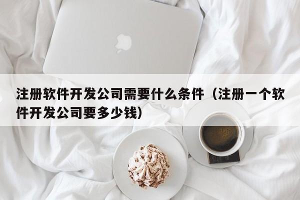 注冊(cè)軟件開發(fā)公司需要什么條件(注冊(cè)一個(gè)軟件開發(fā)公司要多少錢)