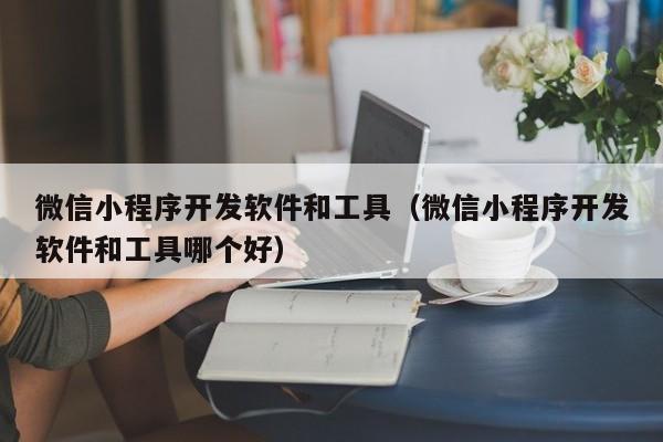 微信小程序開發(fā)軟件和工具(微信小程序開發(fā)軟件和工具哪個(gè)好)