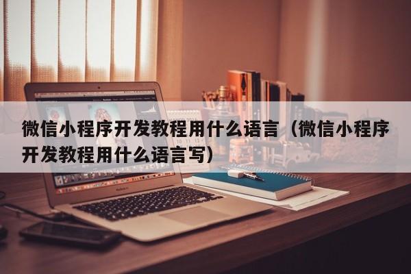 微信小程序開發(fā)教程用什么語言(微信小程序開發(fā)教程用什么語言寫)