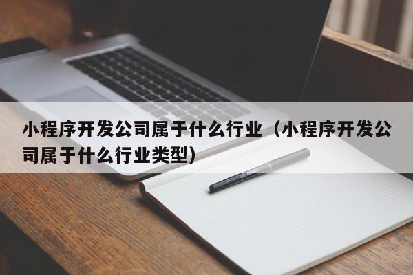 小程序開發(fā)公司屬于什么行業(yè)(小程序開發(fā)公司屬于什么行業(yè)類型)