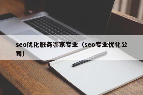 seo優(yōu)化服務(wù)哪家專業(yè)(seo專業(yè)優(yōu)化公司)