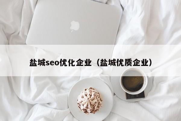 鹽城seo優(yōu)化企業(yè)(鹽城優(yōu)質(zhì)企業(yè))