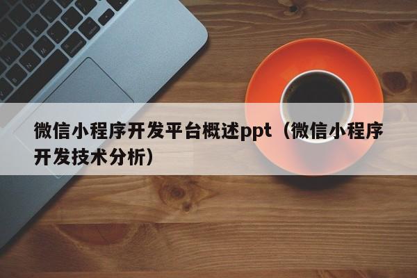 微信小程序開發(fā)平臺概述ppt(微信小程序開發(fā)技術分析)