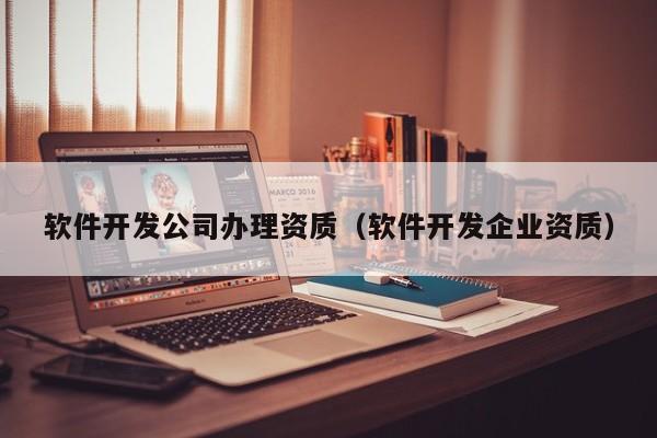 軟件開發(fā)公司辦理資質(zhì)(軟件開發(fā)企業(yè)資質(zhì))