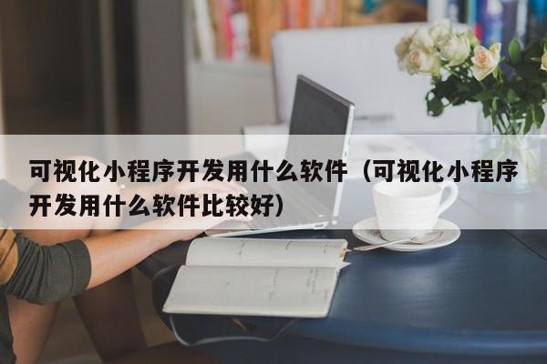 可視化小程序開發(fā)用什么軟件(可視化小程序開發(fā)用什么軟件比較好)