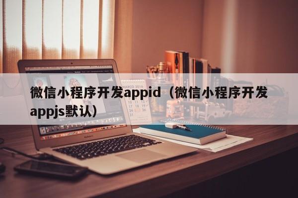 微信小程序開發(fā)appid(微信小程序開發(fā)appjs默認(rèn))