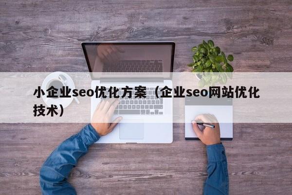 小企業(yè)seo優(yōu)化方案(企業(yè)seo網(wǎng)站優(yōu)化技術)