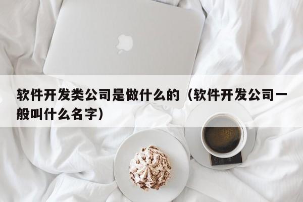 軟件開發(fā)類公司是做什么的(軟件開發(fā)公司一般叫什么名字)
