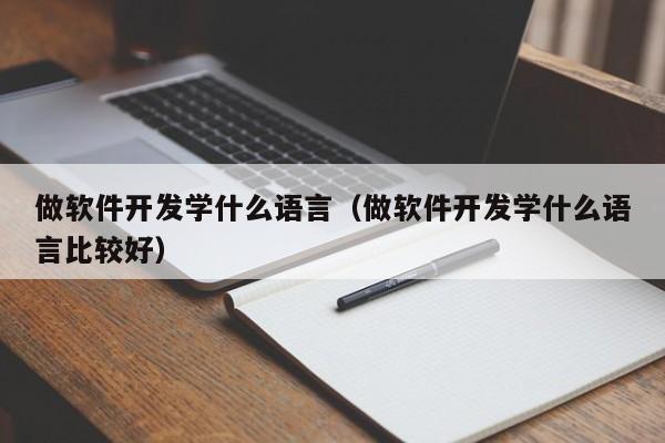 做軟件開發(fā)學(xué)什么語言(做軟件開發(fā)學(xué)什么語言比較好)
