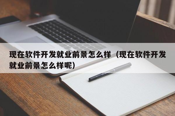現(xiàn)在軟件開發(fā)就業(yè)前景怎么樣(現(xiàn)在軟件開發(fā)就業(yè)前景怎么樣呢)