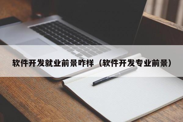 軟件開發(fā)就業(yè)前景咋樣(軟件開發(fā)專業(yè)前景)