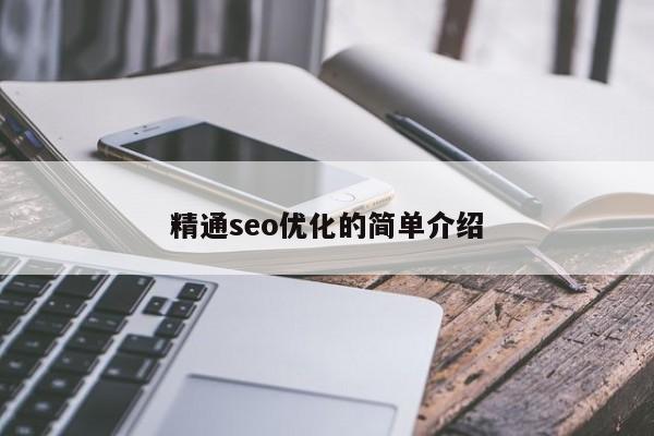 精通seo優(yōu)化的簡(jiǎn)單介紹