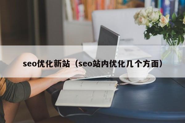 seo優(yōu)化新站(seo站內(nèi)優(yōu)化幾個方面)