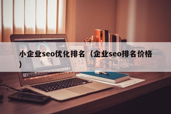小企業(yè)seo優(yōu)化排名(企業(yè)seo排名價(jià)格)